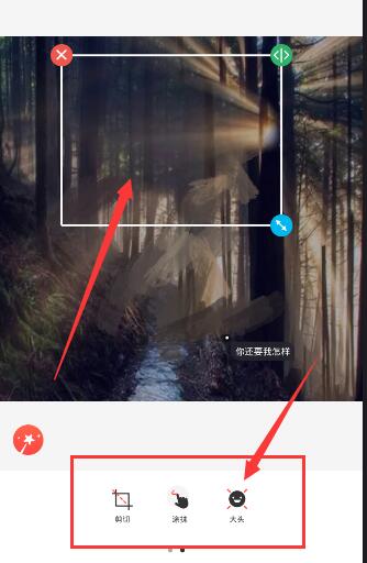 波尔赞王楚钦是顶级球员